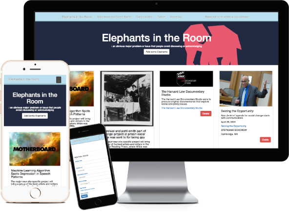 Elephants in the Room Project